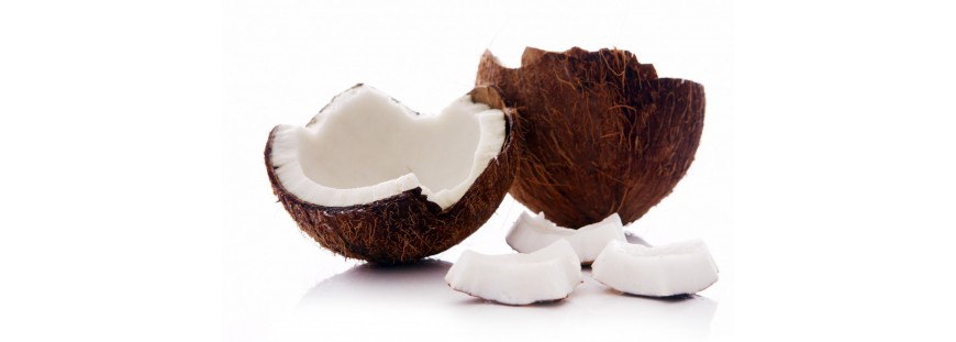 Olej kokosowy – jaki ma wpływ na zęby?