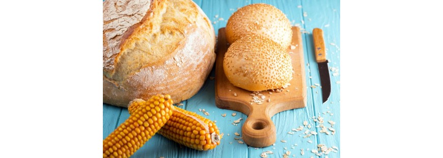 Chleb z mąki kukurydzianej